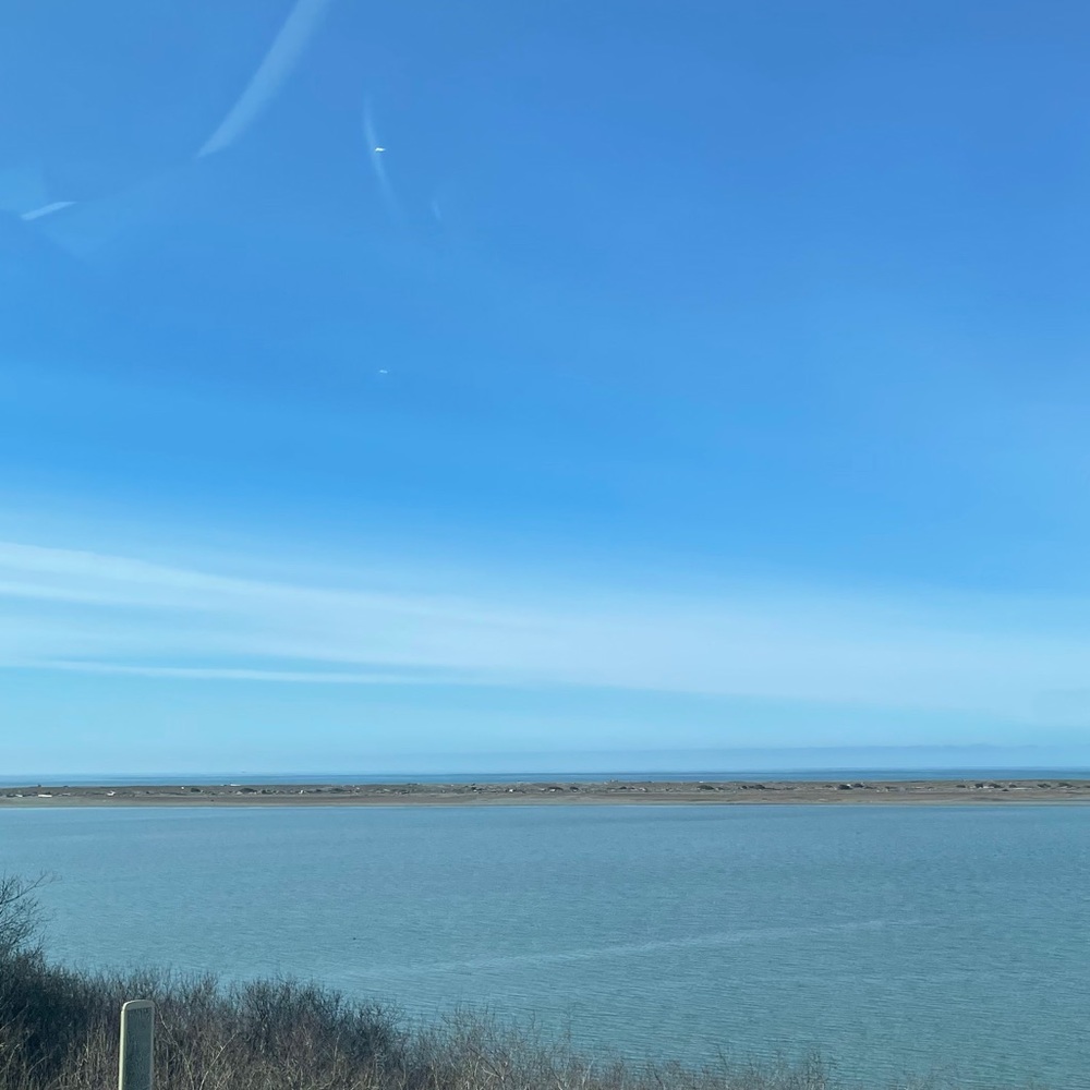 Meet your Posher, Hana